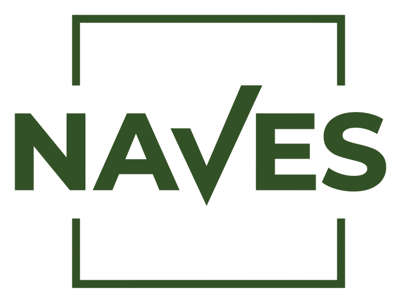 Programa NAVES